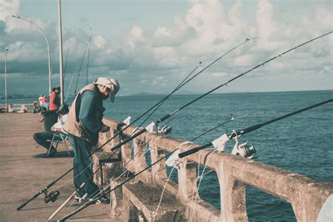 Beginner's Guide to Pier Fishing Success .